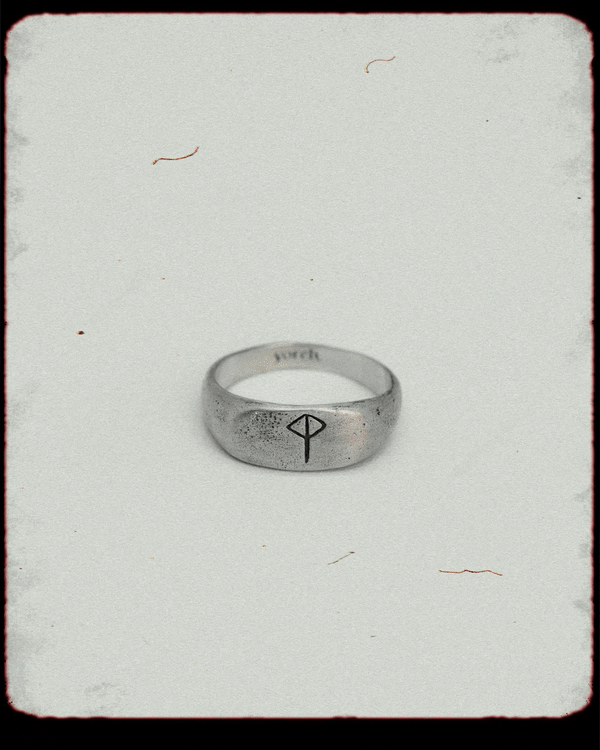 Protector Ring | silver