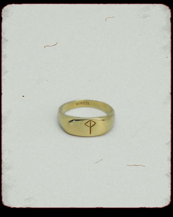 Protector Ring | Gold