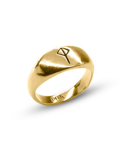 Protector Ring | Gold