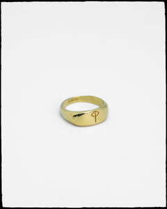 Protector Ring | gold