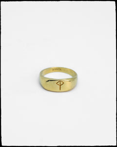 Protector Ring | gold