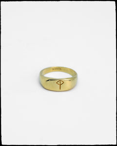 Protector Ring | Gold